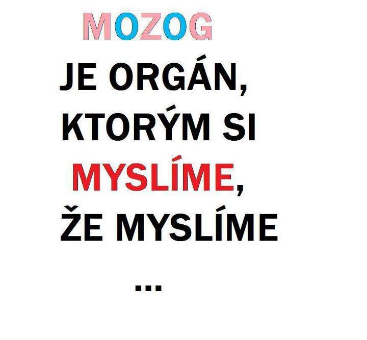 mozog